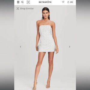 Retrofete Fringe Sequin Cassandra Dress